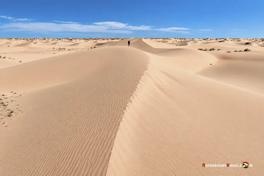 Dunas Senek Kazajistán