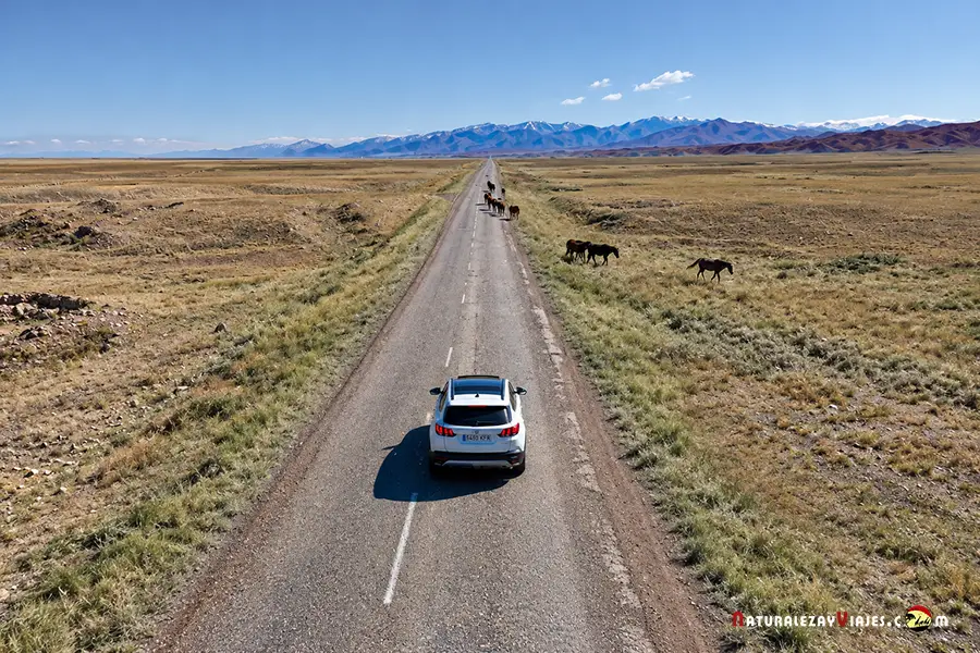 Travel in Almaty car