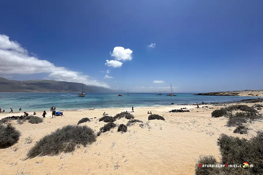 Playa La Francesa La Graciosa
